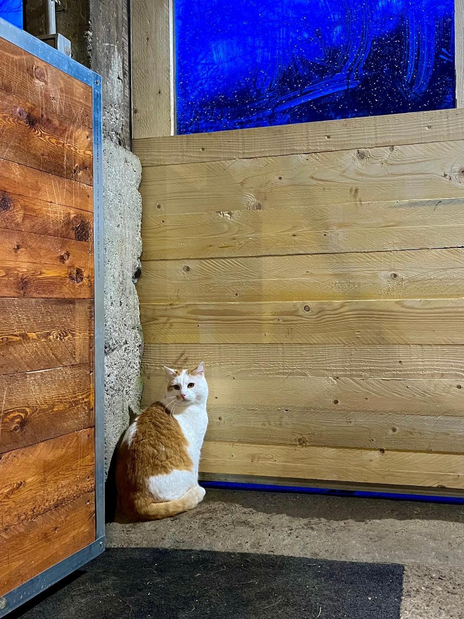 Agriturismo La Vecchia Chioderia Grandola ed Uniti Екстериор снимка