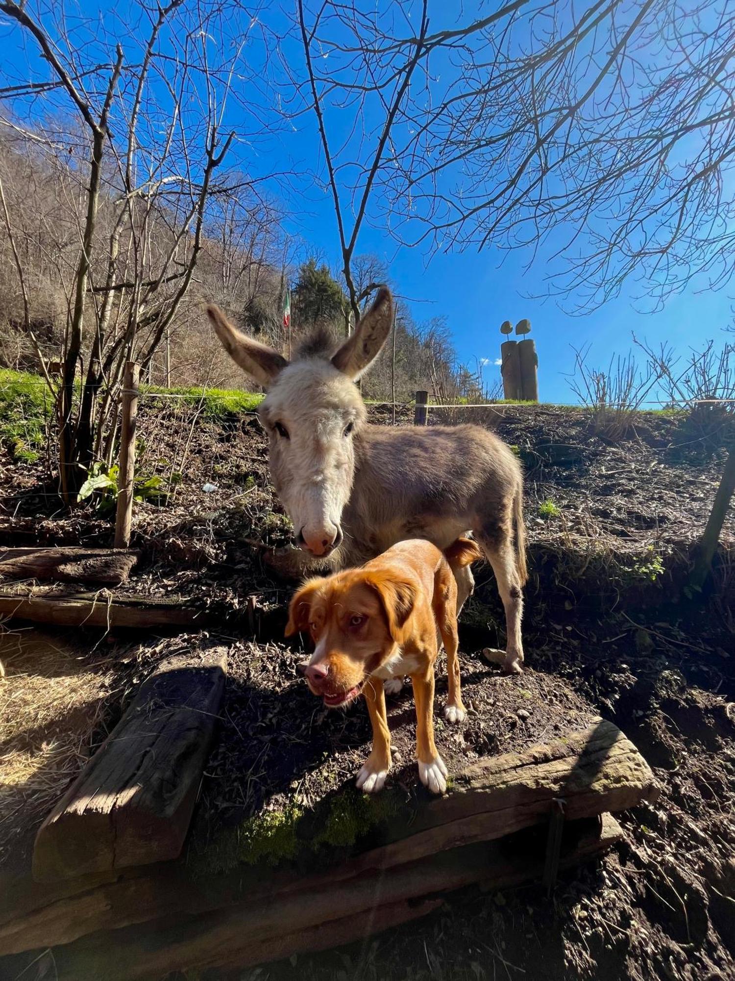 Agriturismo La Vecchia Chioderia Grandola ed Uniti Екстериор снимка