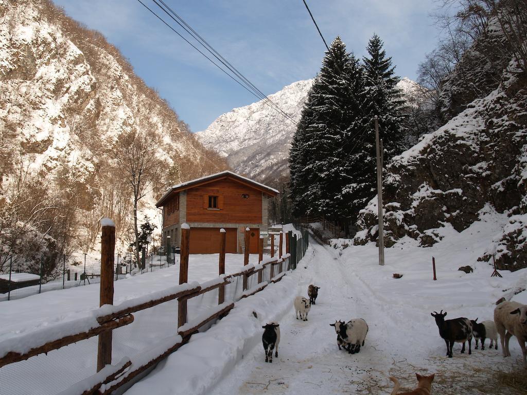 Agriturismo La Vecchia Chioderia Grandola ed Uniti Екстериор снимка