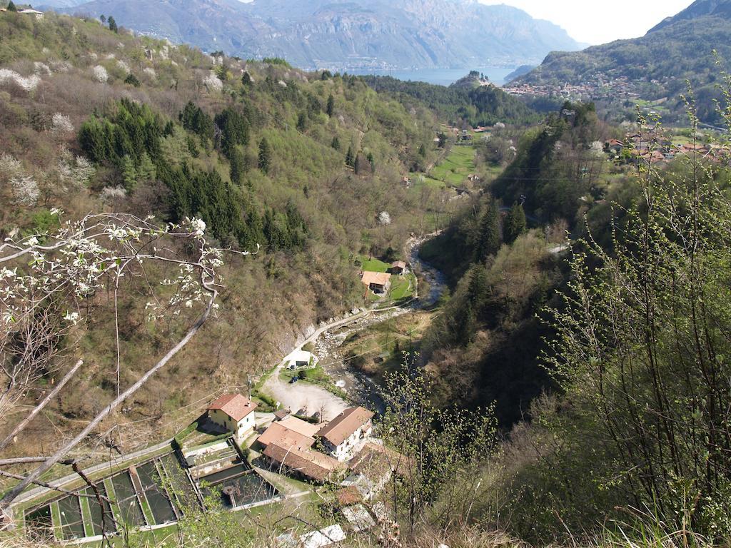 Agriturismo La Vecchia Chioderia Grandola ed Uniti Екстериор снимка